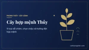 Cây phong thủy hợp mệnh Thủy