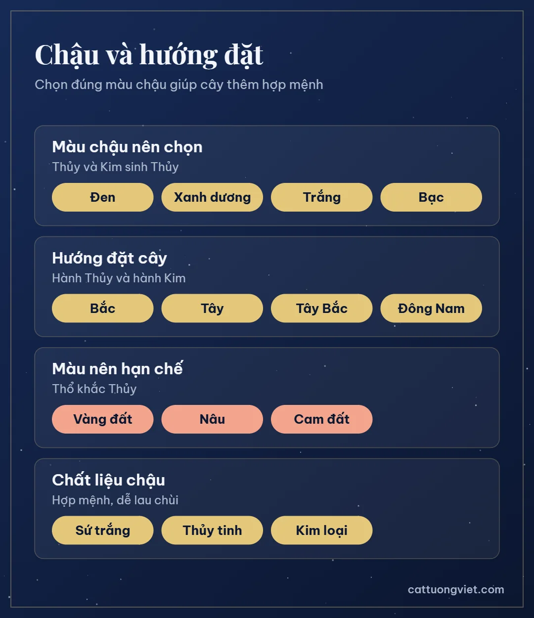 Màu chậu và hướng đặt cây cho người mệnh Thủy