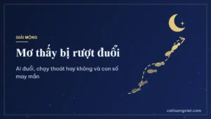 Mơ thấy bị rượt đuổi là điềm gì và con số may mắn