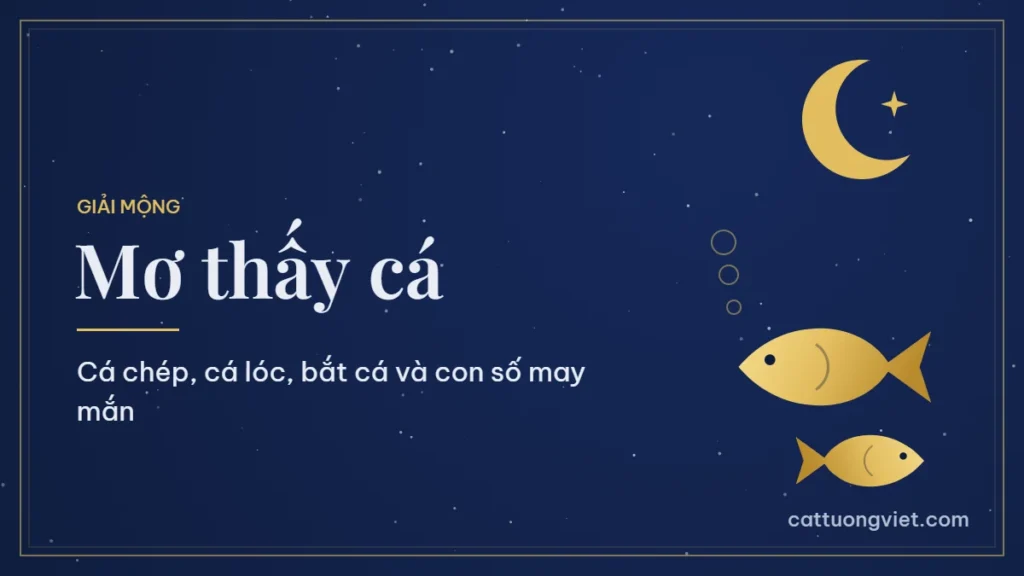 Mơ thấy cá: ý nghĩa giấc mơ và con số may mắn