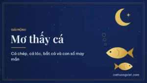 Mơ thấy cá: ý nghĩa giấc mơ và con số may mắn