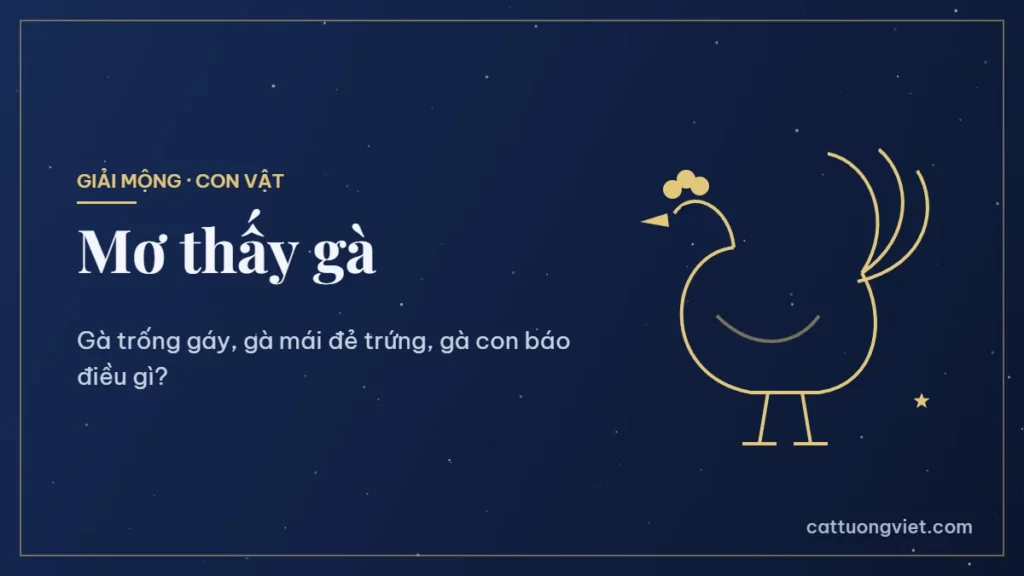 Nằm mơ thấy gà là điềm gì