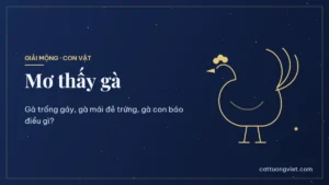 Nằm mơ thấy gà là điềm gì