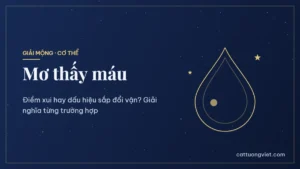 Mơ thấy máu là điềm gì