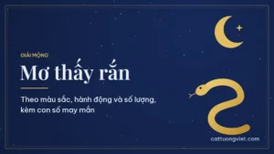 Mơ thấy rắn: ý nghĩa giấc mơ và con số may mắn