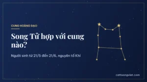 Song Tử hợp với cung nào trong 12 cung hoàng đạo