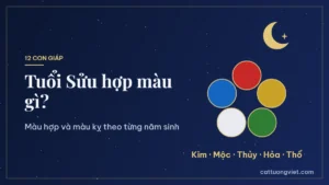 Tuổi Sửu hợp màu gì theo từng năm sinh