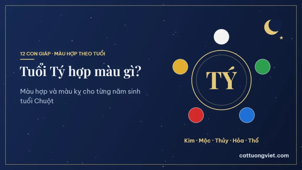 Tuổi Tý hợp màu gì theo từng năm sinh